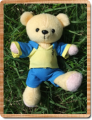 TeddyBear05.png