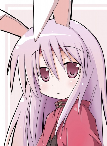 Plik:Usamimi.jpg