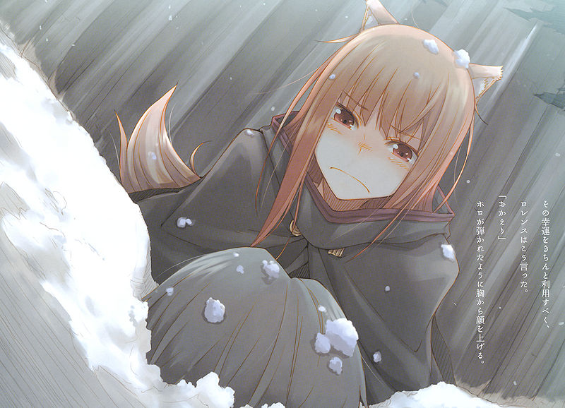 Plik:Holo15.jpg